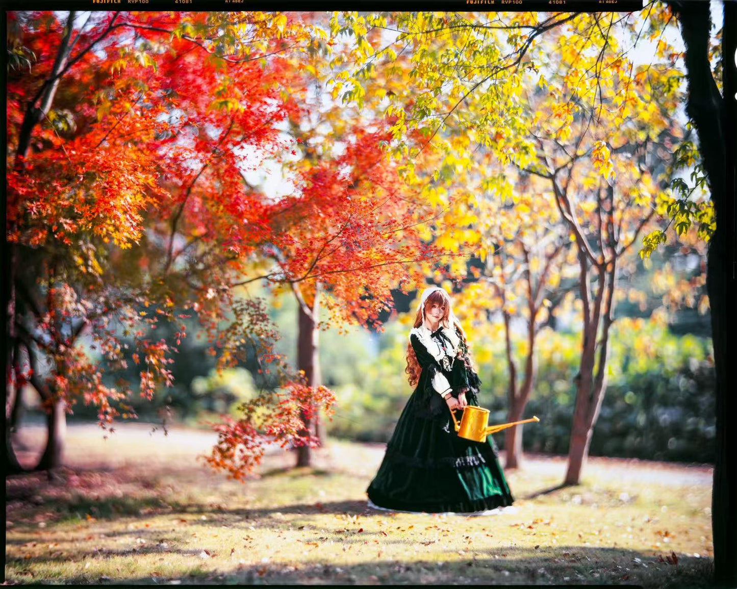 Smartflex 8x10 SLR